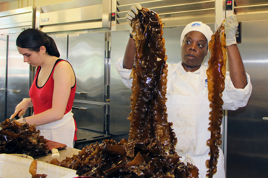 two woman in the kitchen, one is cutting sugar kelp and the other is holding up strings of raw sugar kelp