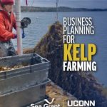 kelp business guide cover