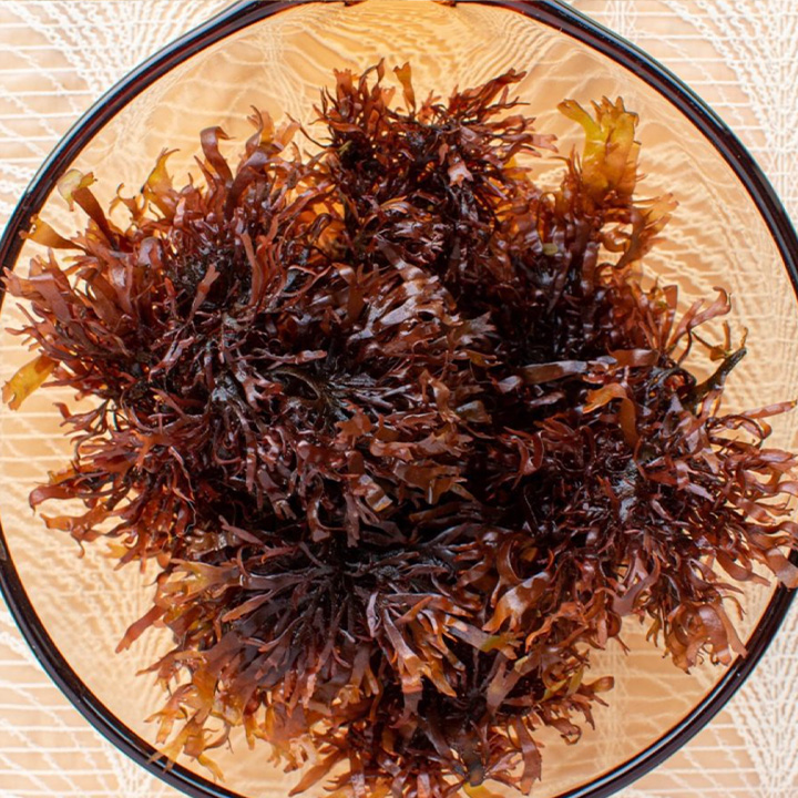 Dulse in a salad bowl