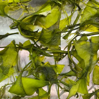 seaweed drying
